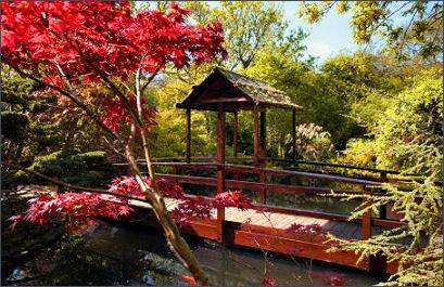 St Mawgan  Japanese Garden