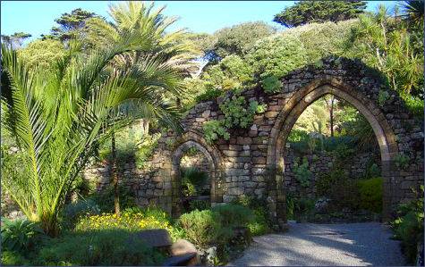 Tresco Abbey Gardens